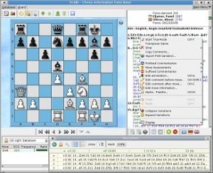 scidb - Comments from (commented !) games lost in ChessBase to Scid on the  go conversion process - Chess Stack Exchange