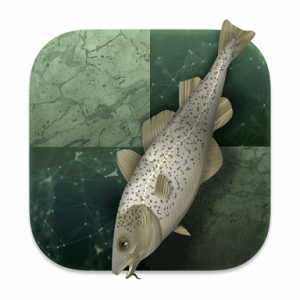 Stockfish 16 Dev vs Stockfish 15.1 Legendary Game!!! 